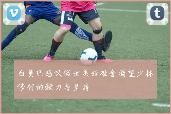 白曼巴感叹俗世美好难舍渴望少林修行的毅力与坚持